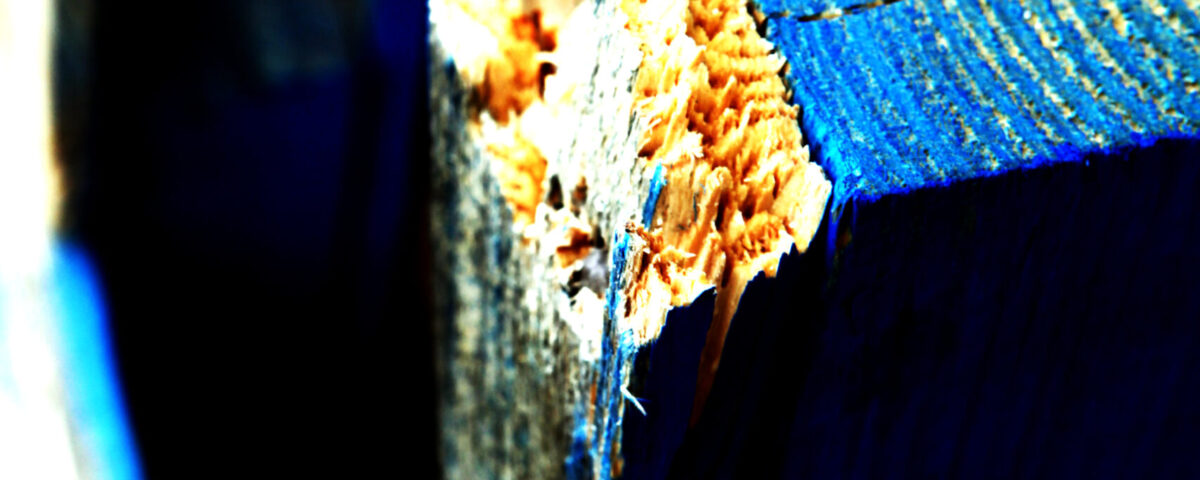 painted wood palette