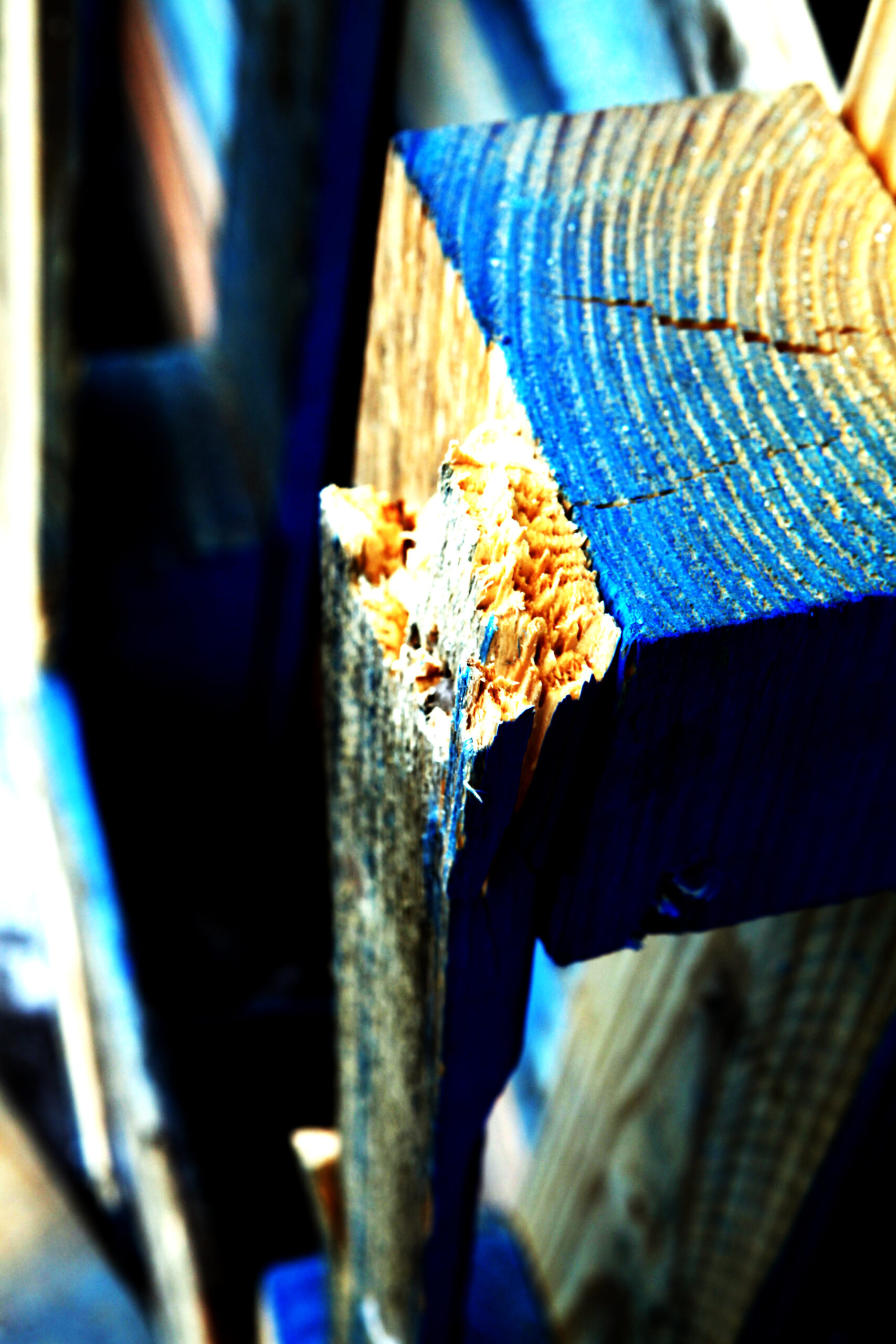 painted wood palette