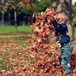 SPM - Autumn Home Maintenance Tips 2018