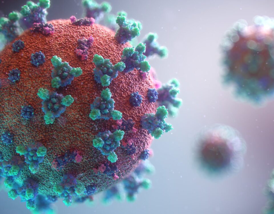 Coronavirus Info - fusion-medical-animation
