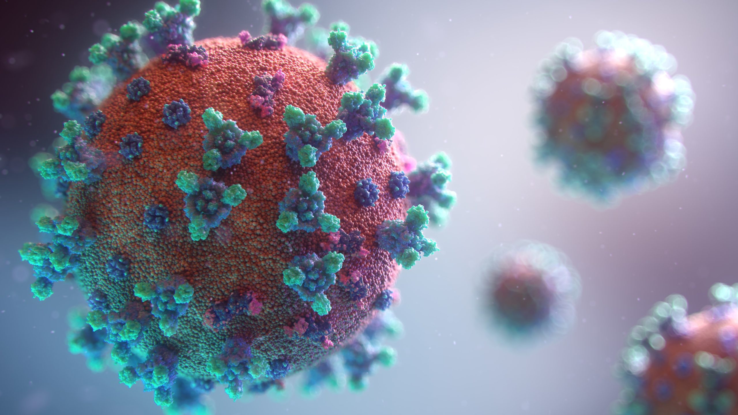 Coronavirus Info - fusion-medical-animation